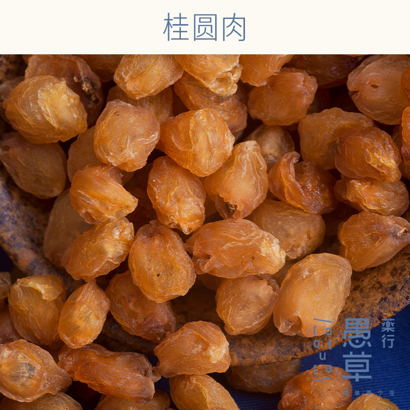【愚草】桂圆肉广西博白特产干货无核桂圆干龙眼肉。（250克/罐）