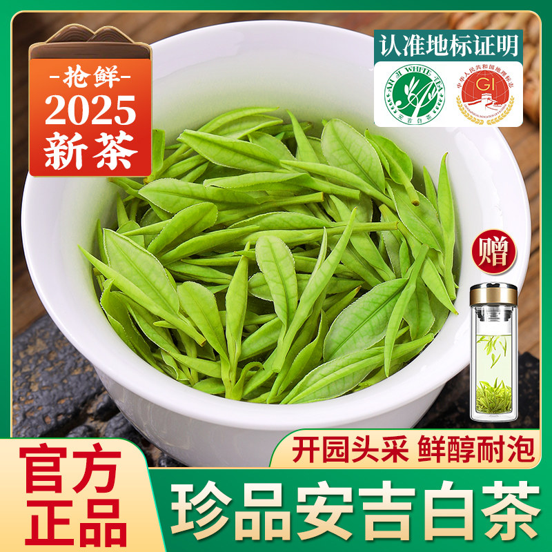 珍品安吉白茶2025年新茶明前特级绿茶散装白茶官方经营店茶叶500g