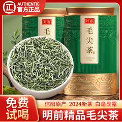 正宗信阳原产毛尖绿茶2024新茶特级精品茶叶官方旗舰店罐装500g