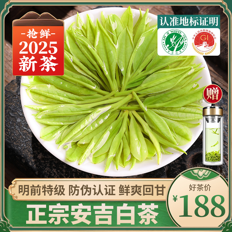 2025新茶正宗安吉白茶明前绿茶叶