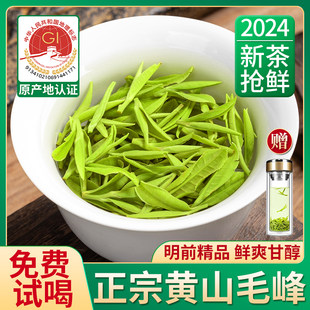 安徽省特級黄山猫峰 2024 新茶 明前緑茶 猫峰茶 公式本店 缶詰 500g