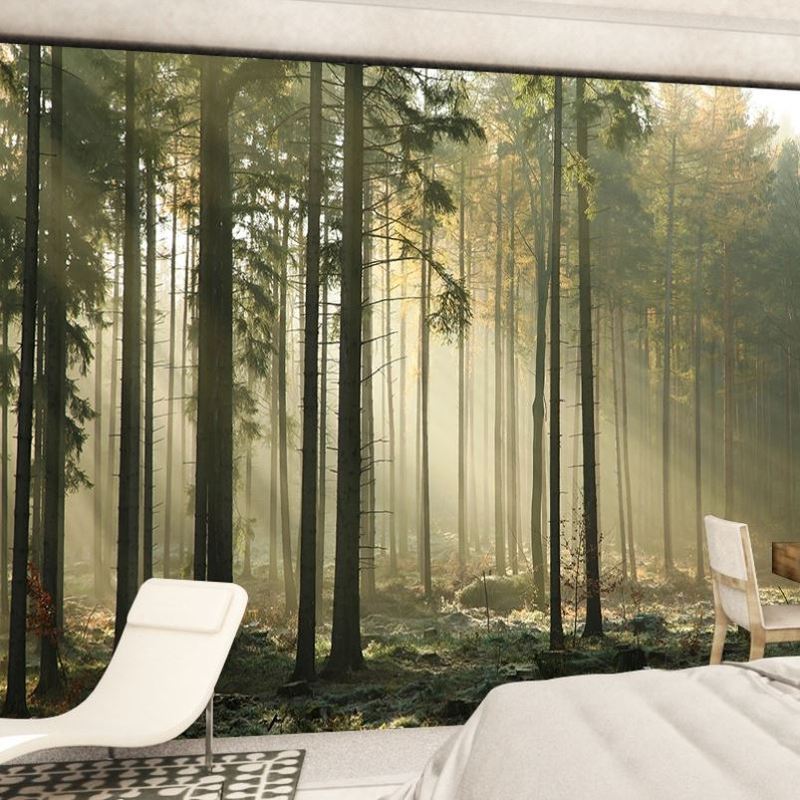 树林背景墙纸壁画户外露营风墙布剧本杀3D迷雾原始森林大自然壁纸