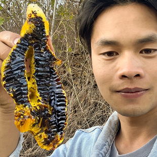 2025年新蜜 黑蜜 云南黑蜂蜜高山米团花蜜天然成熟蜂蜜农家自产