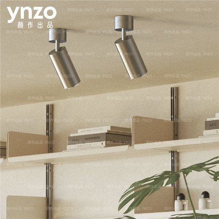 颜作中古包豪斯镍色LED照画灯具客厅卧室玄关背景墙明装银色射灯
