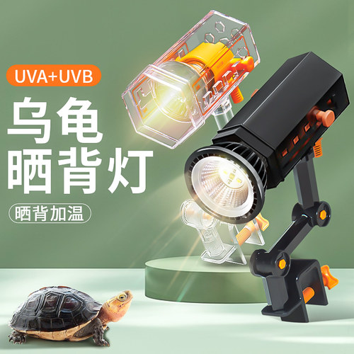 乌龟晒背灯模拟自然晒背