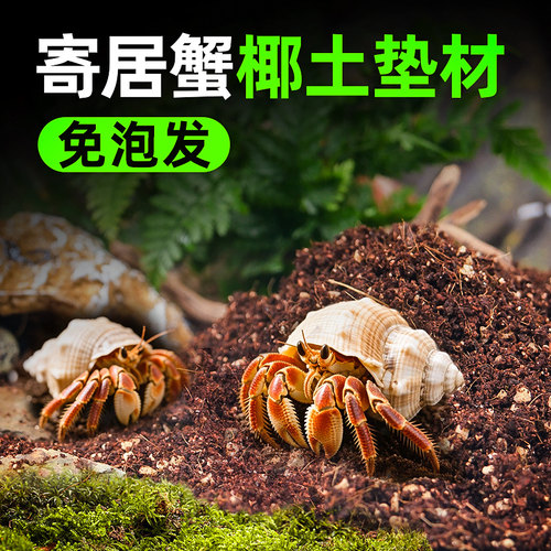 寄居蟹专用湿椰土苔藓