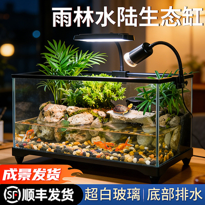 新款乌龟缸饲养箱晒爬台混养鱼缸
