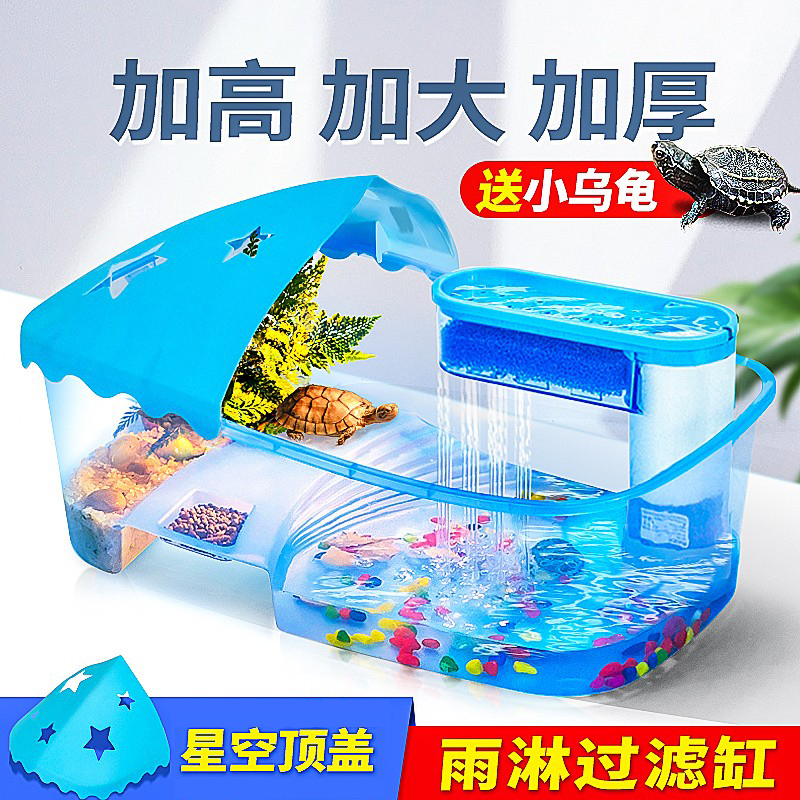 小乌龟活物送大礼包升级款龟缸