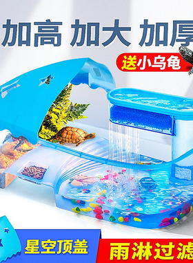 小乌龟活物中华草龟珍珠巴西龟儿童宠物网红观赏好养耐活黄耳龟苗