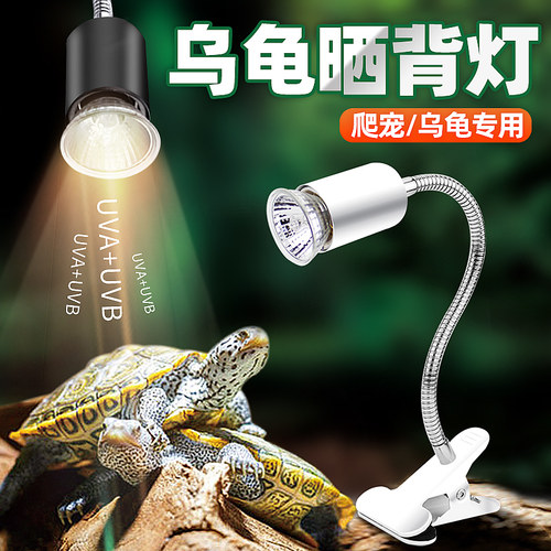 爬宠虫取暖uvb三合一乌龟晒背灯