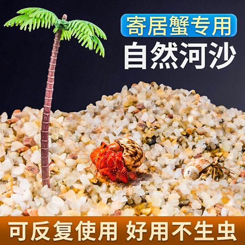 寄居蟹家用粗沙水草螃蟹