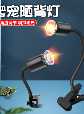 乌龟晒背灯加热保温太阳灯龟灯泡恒温爬宠虫uva取暖uvb宠物加温灯