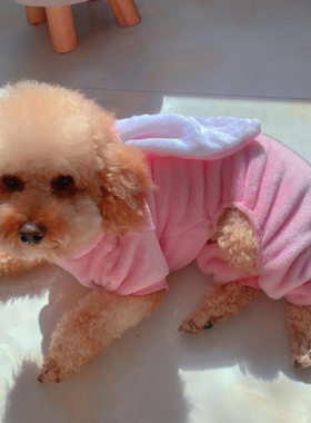 狗狗猫咪兔子宠物珊瑚绒服饰