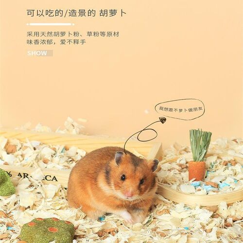 仓鼠磨牙棒可食用胡萝卜金丝熊营