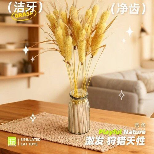 大麦逗猫棒仿真薰衣草幼猫自嗨解
