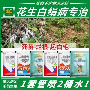 花生白绢病专用药死苗长白毛死棵烂根根腐病枯萎青枯病农药杀菌剂