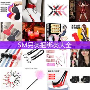 ADLJSM bondage set binding handcuffs leather whip anal plug