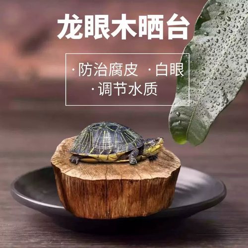 乌龟免煮龙眼木晒背台爬台天然沉木鱼缸造景摆件生态缸休息台