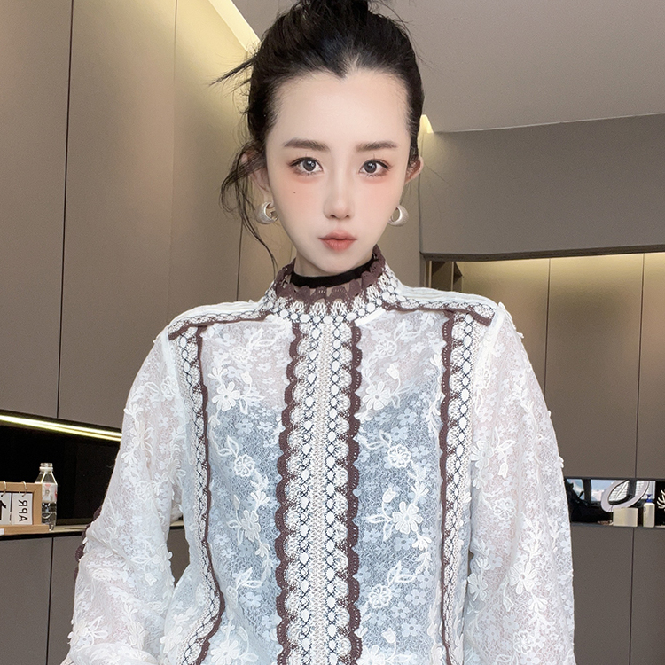 蕾丝衫女2025秋季新款欧洲站设计师款民族风套头打底衫长袖上衣