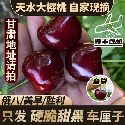 【甘肃地址请拍/套袋胜利】天水秦州大樱桃车厘子自家现摘现发