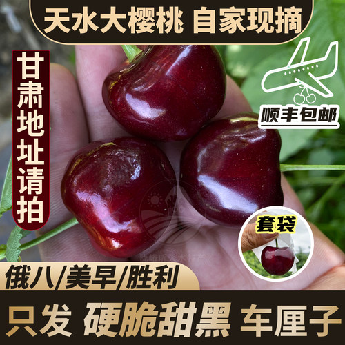 【甘肃地址请拍/套袋胜利】天水秦州大樱桃车厘子自家现摘现发