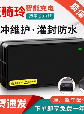玉骑玲电动车电瓶充电器48V60V20AH72V新国标原装品防水防震灌胶