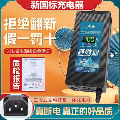 爱玛小公插加长款智能电动车电瓶充电器48V12AH60V20AH72V32A通用