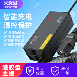 适用天能原装 电池灌封防水电动车电瓶充电器48V12AH60V20AH72通用