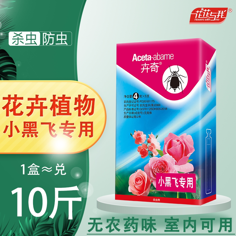 家用 小黑飞专用杀虫剂 花卉绿植杀虫药 果蝇小飞虫花药 无农药味