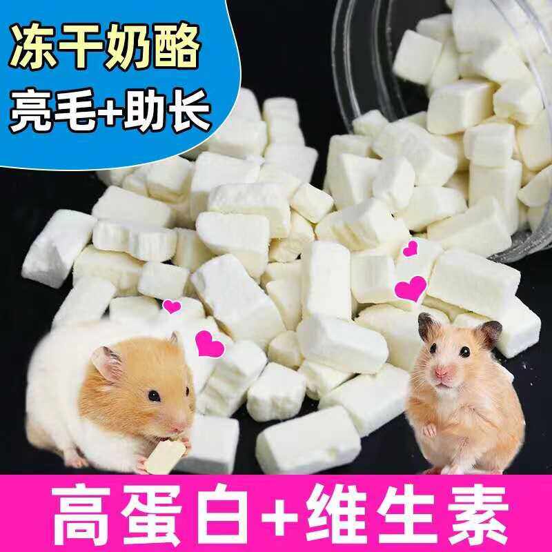 仓鼠冻干豆腐小仓鼠粮食专用零食金丝熊用品饲料花枝鼠刺猬的食物