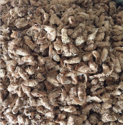 雄蚕蛾中药材 别名蚕蛾晚蚕、蛾魏、蚕蛾天蛾免费磨粉 500g克包邮