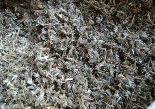 翻白草中药材 鸡腿根拔腿天藕翻白萎陵菜叶下白鸡爪参500g克包邮