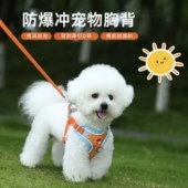 狗狗牵引绳反光胸背带背心式 小型犬泰迪柯基比熊遛狗牵引绳狗链子