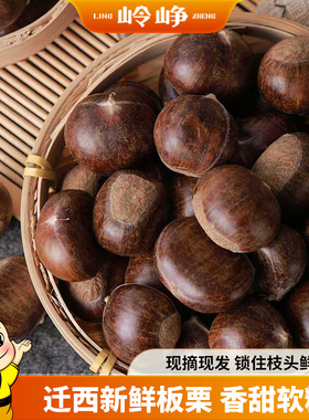 岭峥2025新货正宗迁西板栗新鲜生板栗河北唐山大油栗3113甜糯栗子