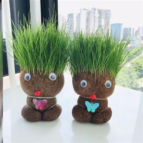 头上长草盆栽长草头娃娃创意可爱迷你小草人浇水长草的植物娃娃