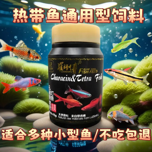 罗师傅灯鱼孔雀鱼饲料斑马吃鱼食