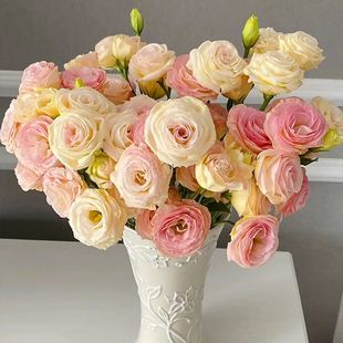 云南洋桔梗鲜花批发新鲜花束昆明基地直发家用插花节日礼物花束