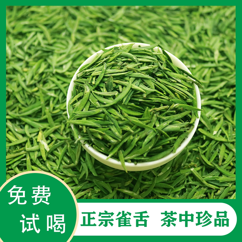 贵州湄潭翠芽2024正宗雀舌新茶明前特级绿茶嫩芽春茶250g散装茶