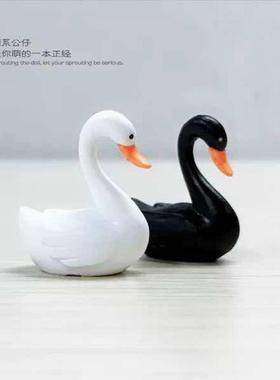 【黑白天鹅】多肉微景观布景摆件迷你动物园模型设计diy素材
