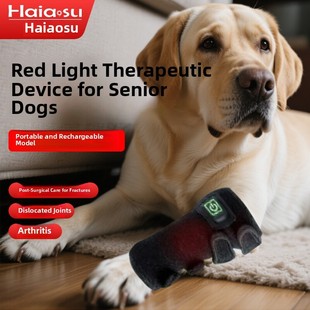 为患有关节炎的老年狗狗准备的红外线理疗灯可拆卸可充电型号