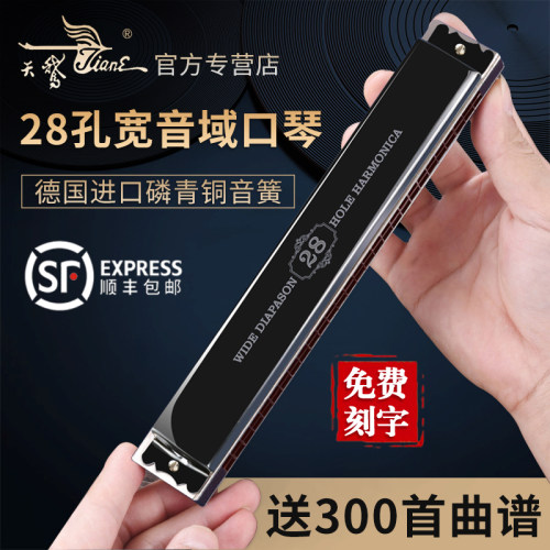 德国专业重音c调高级学生孔口琴