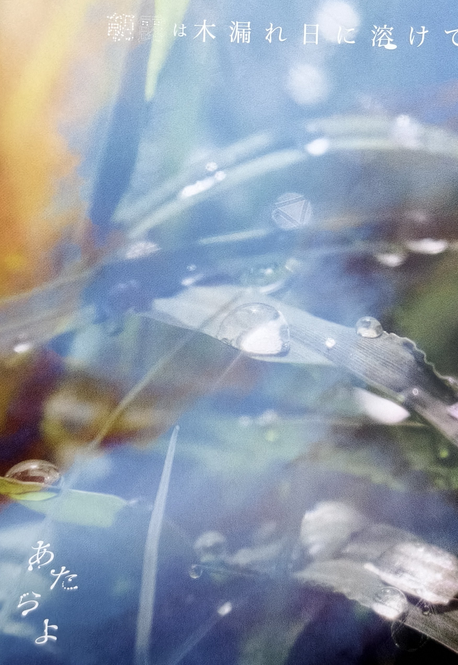 【现货速发】朝露は木漏れ日に溶けて可惜夜三专atarayoあたらよ