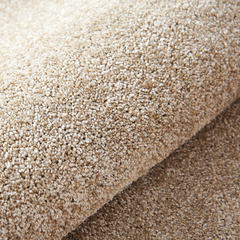 奶茶色加厚短绒高端地毯客厅2026新款轻奢沙发茶几毯卧室床边地垫