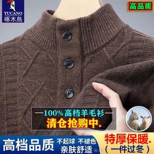 冬季啄木鸟特厚男士羊毛衫双股加厚半高领新款爸爸装打底保暖毛衣