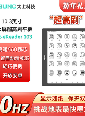 DASUNG大上科技 10.3英寸超高刷墨水屏平板 Not-eReader 电纸书