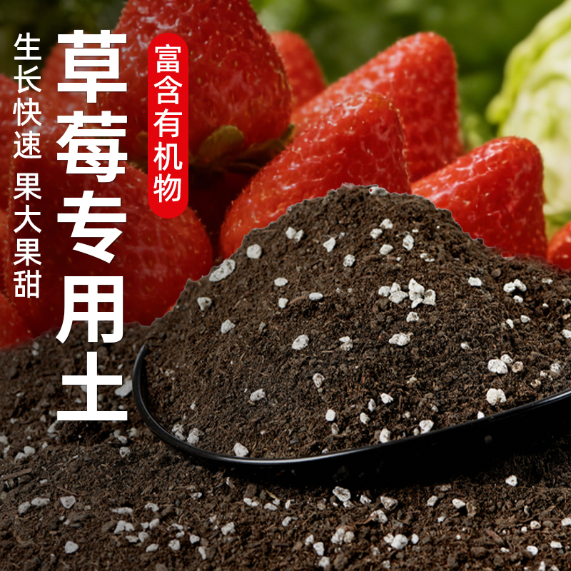 草莓专用营养土有机土壤盆栽泥土种植土种草莓的土肥料专用肥