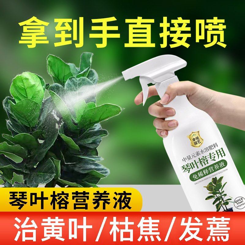 琴叶榕营养液花肥绿植大叶琴叶榕肥料专用肥锈斑黄叶液体肥
