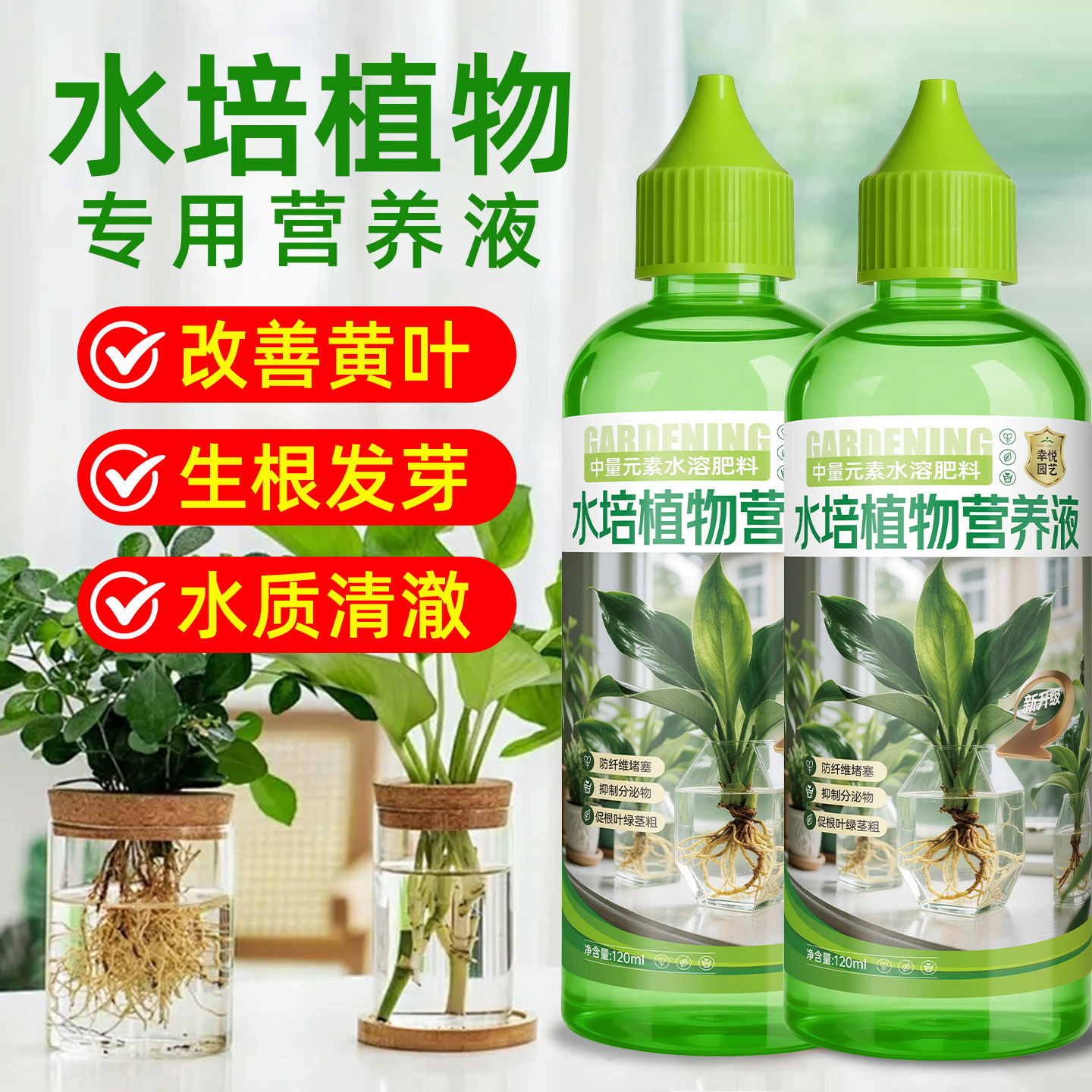 水培植物营养液通用型室内富贵竹郁金香铜钱草巴西木水养花肥料图片