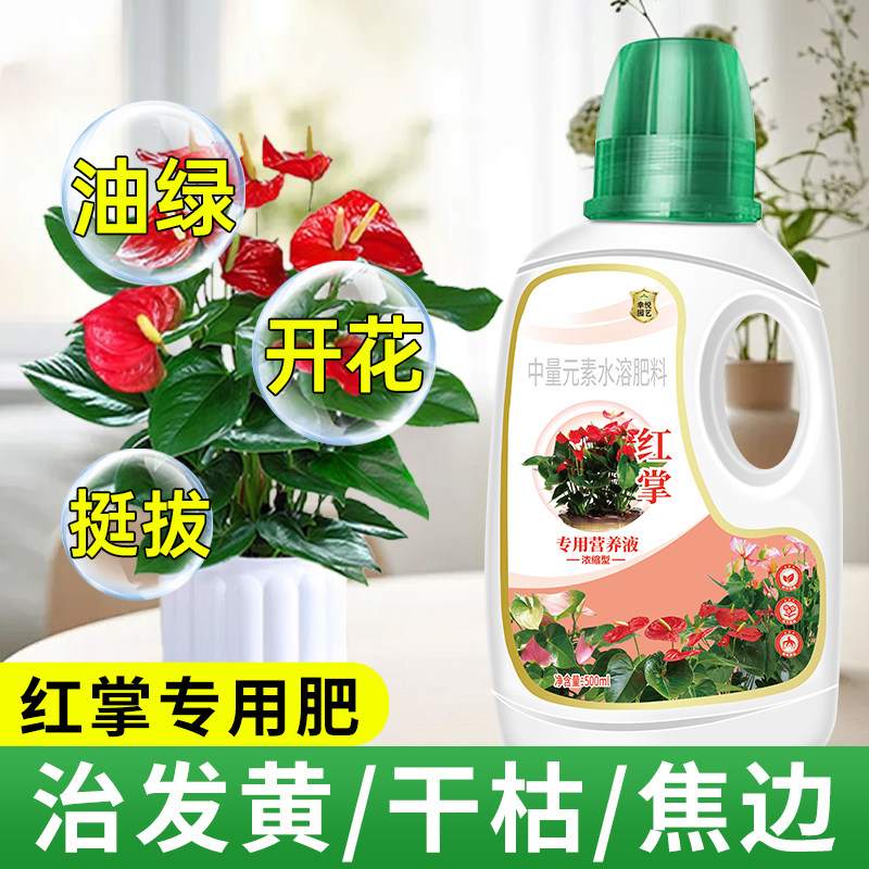 红掌专用肥料白掌一帆风顺红掌专用营养液水培盆栽粉掌火鹤花肥,鲜花速递/花卉仿真/绿植园艺,家庭园艺肥料,淘宝优惠券,粉丝福利购,淘宝优惠卷