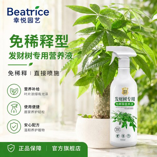 发财树免稀释营养液直喷即用
